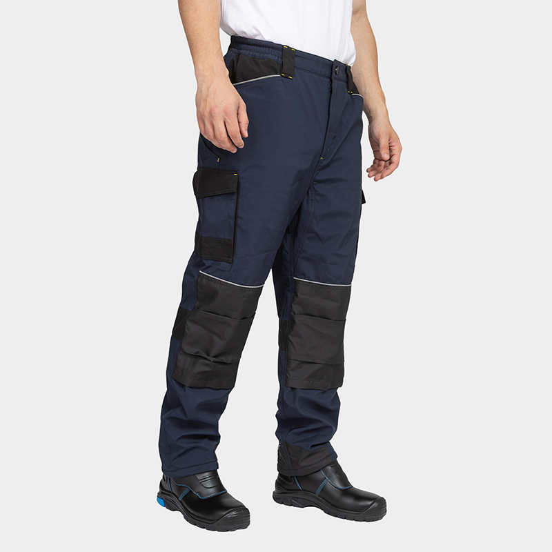 Pantalón de trabajo de invierno DAYTONA ICE BWOLF