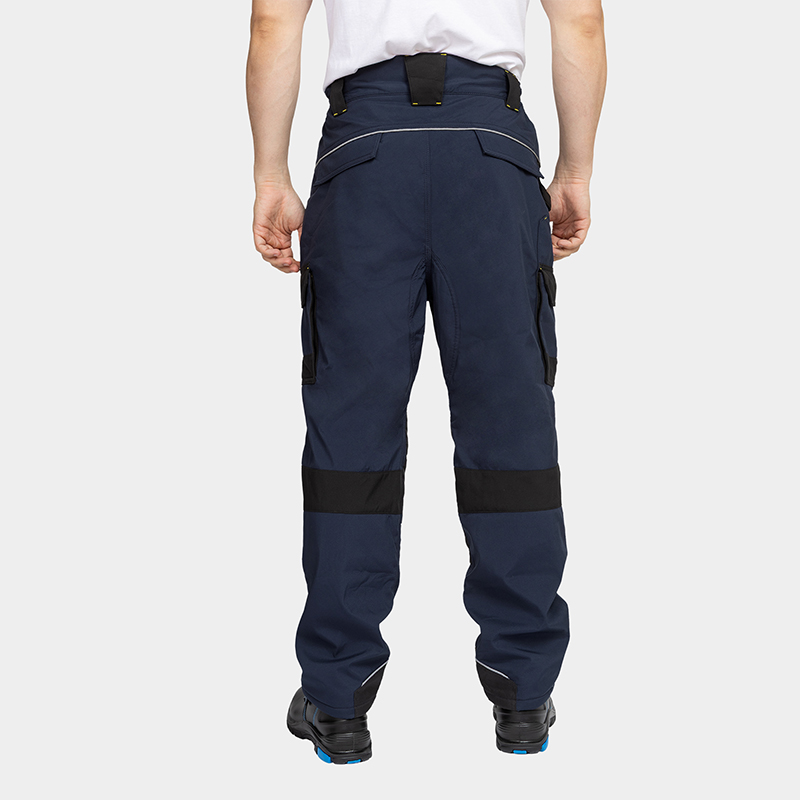 Pantalón de trabajo de invierno DAYTONA ICE BWOLF