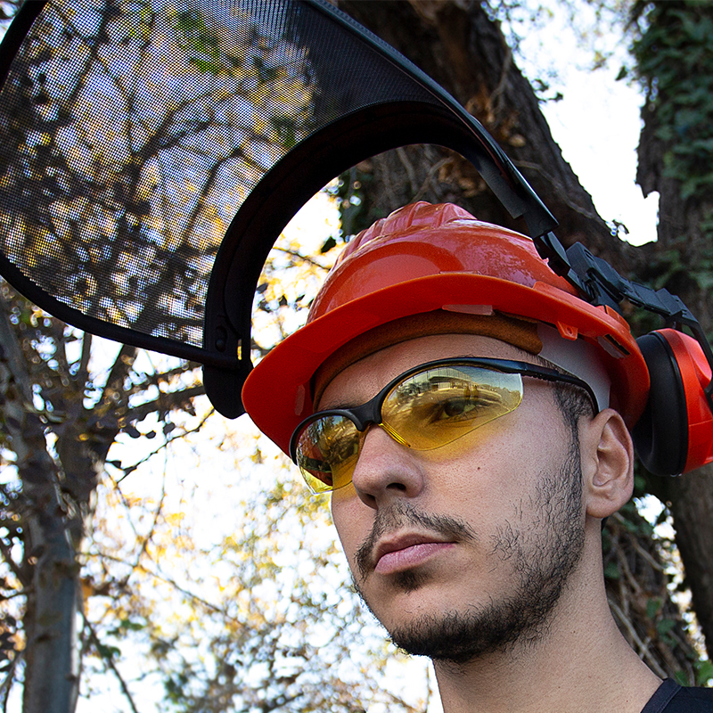 Gafas de seguridad VISION Y BWOLF