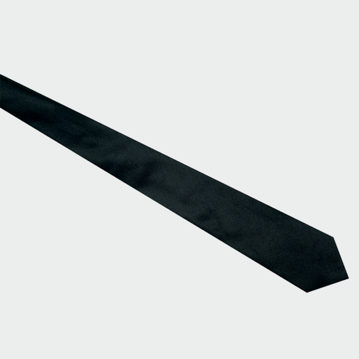 Tie IS115101 Isacco