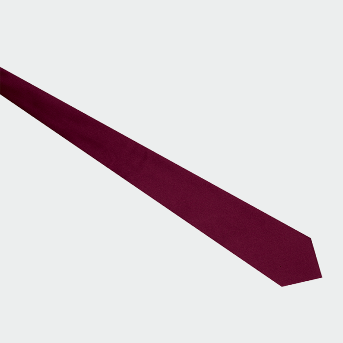 Tie IS115103 Isacco